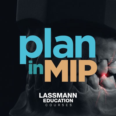 PLAN IN MIP